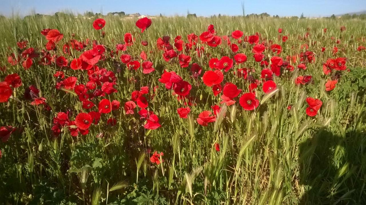 Le Relais Du Bouchon Bed & Breakfast Saint-Nazaire-d'Aude Екстериор снимка